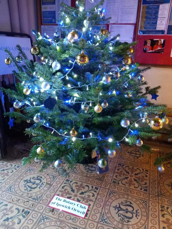 St Mary Le Tower Xmas Trees 1st 7th December 2022 Rotary Club Of